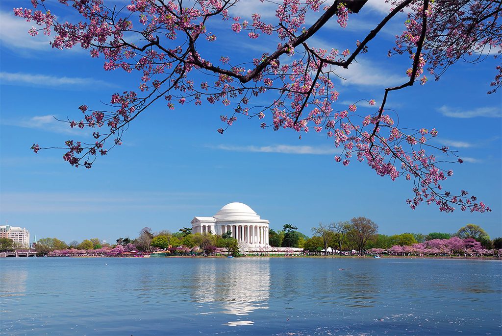 The Thomas Jefferson Memorial beside the Tidal Basin in Washington, District of Columbia